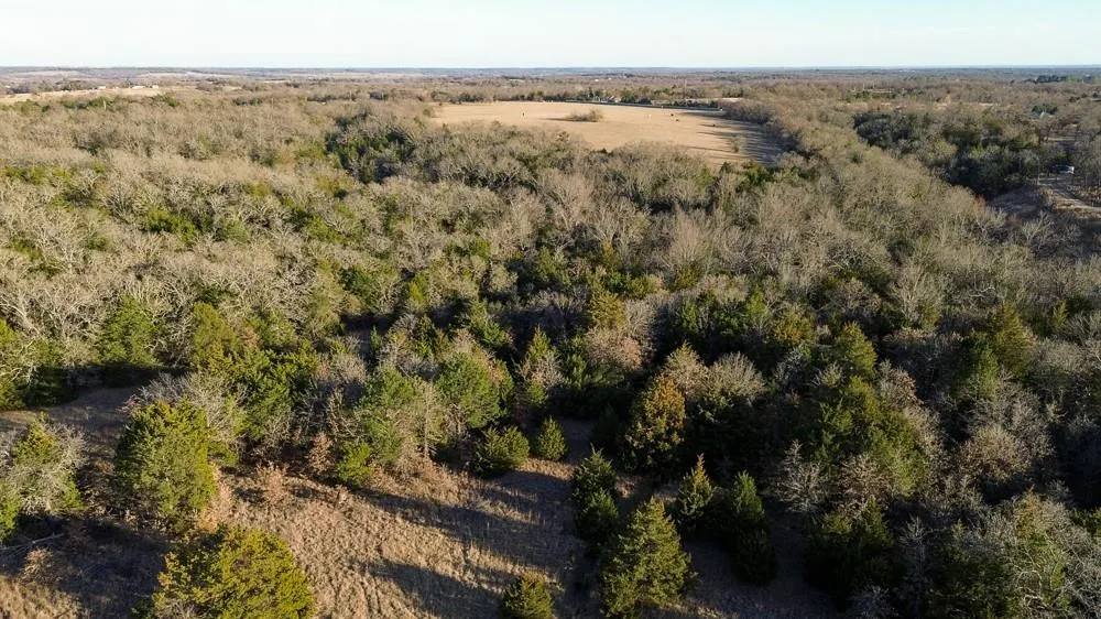 Photo 16 — 24572 W Ropers Road Road, Madill, OK 73446