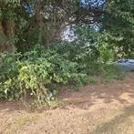 Photo 10 — 1315 E Vilas Avenue, Guthrie, OK 73044