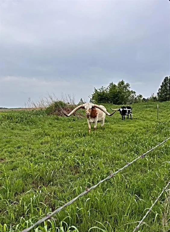 Photo 48 — 1325 Peridot Lane, Noble, OK 73068
