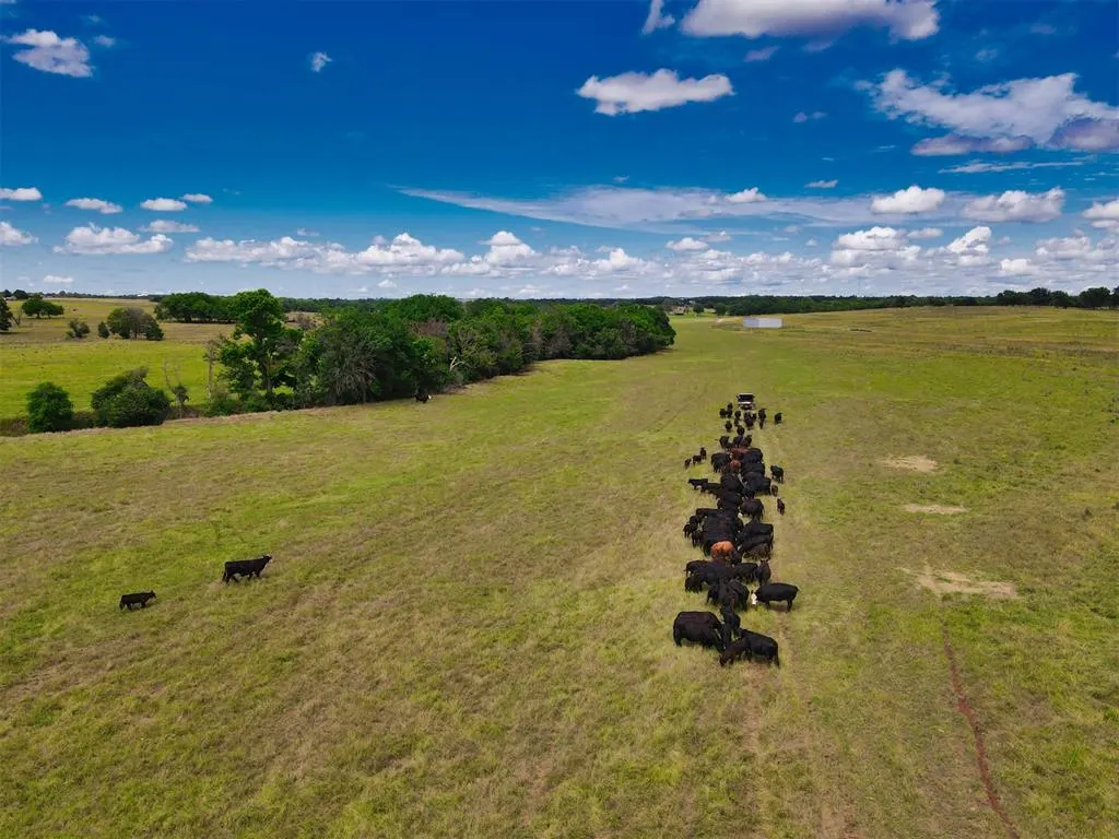 Photo 11 — 0000 Hwy 59, Wayne, OK 73057