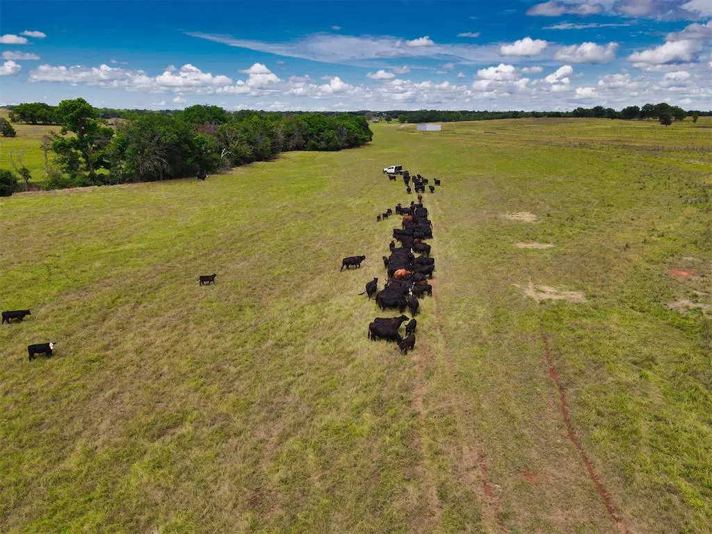 Photo 12 — 0000 Hwy 59, Wayne, OK 73057