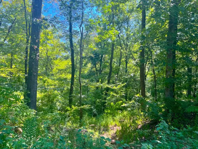 Photo 2 — 310 White Fox Lane, Broken Bow, OK 74728