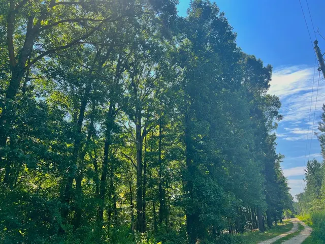 Photo 3 — 310 White Fox Lane, Broken Bow, OK 74728