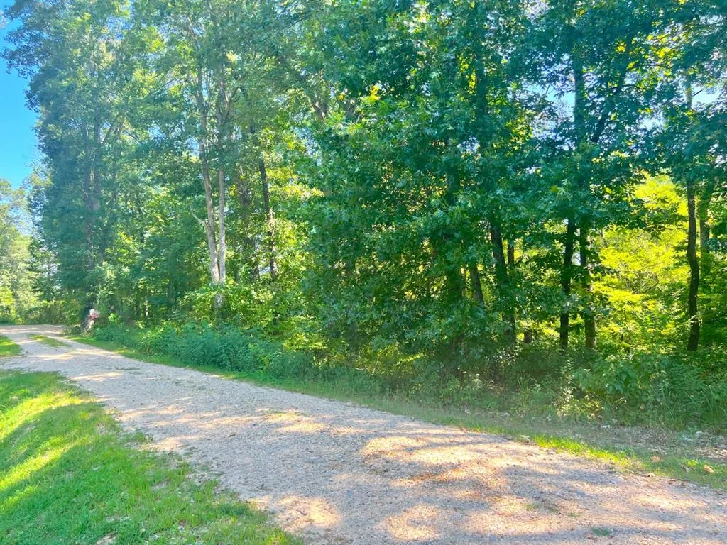 Photo 5 — 310 White Fox Lane, Broken Bow, OK 74728