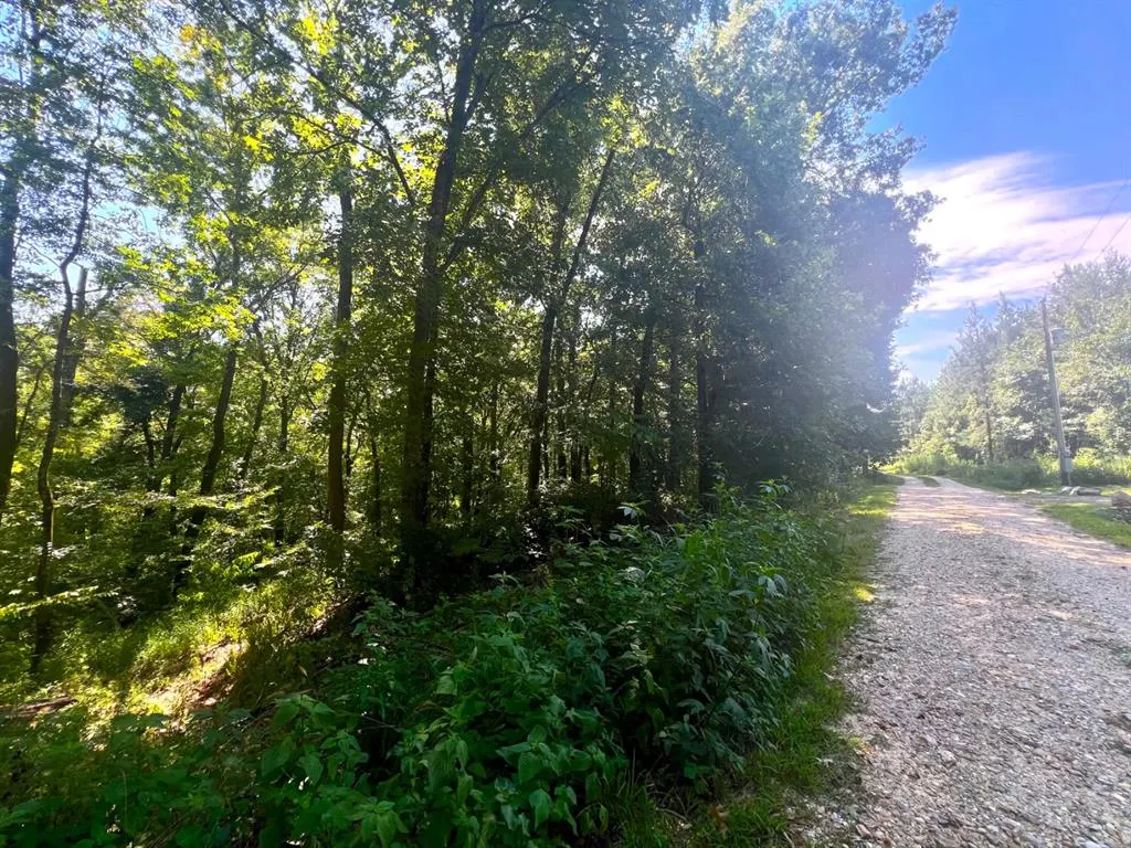 Photo 6 — 310 White Fox Lane, Broken Bow, OK 74728