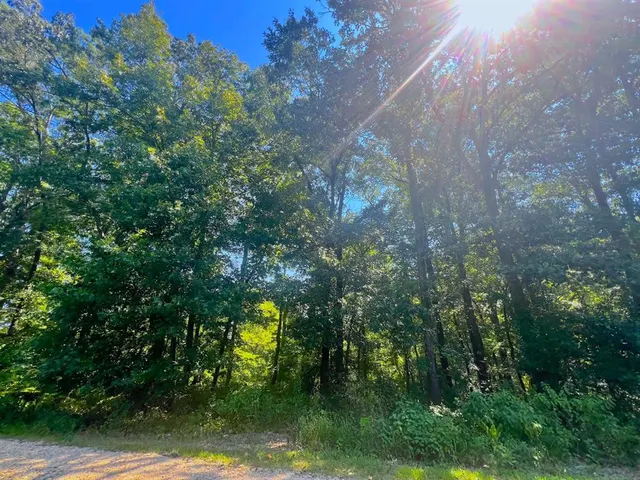 Photo 7 — 310 White Fox Lane, Broken Bow, OK 74728