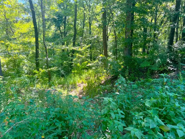 Photo 8 — 310 White Fox Lane, Broken Bow, OK 74728