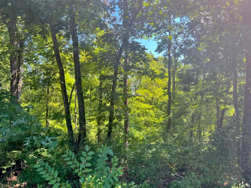 Photo 10 — 310 White Fox Lane, Broken Bow, OK 74728