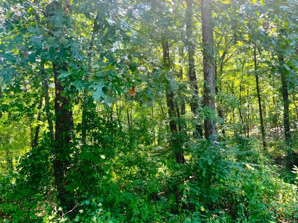 Photo 15 — 310 White Fox Lane, Broken Bow, OK 74728