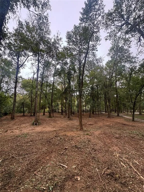 Photo 4 — 310 White Fox Lane, Broken Bow, OK 74728