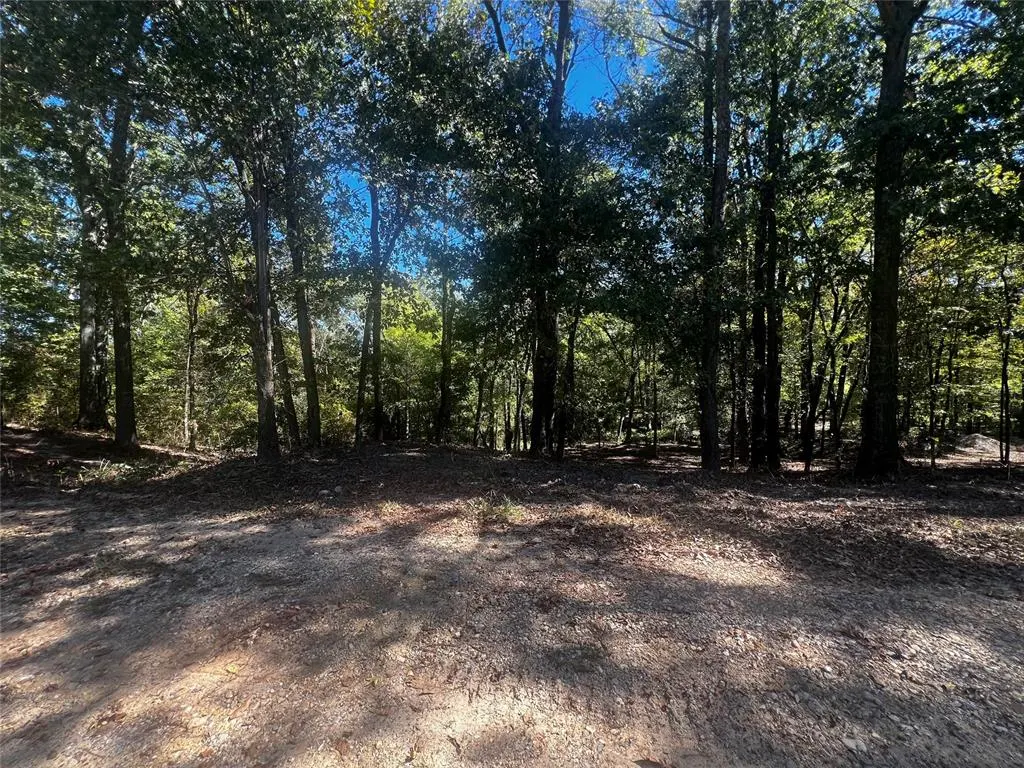 Photo 5 — 310 White Fox Lane, Broken Bow, OK 74728