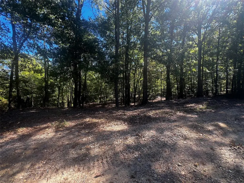 Photo 6 — 310 White Fox Lane, Broken Bow, OK 74728
