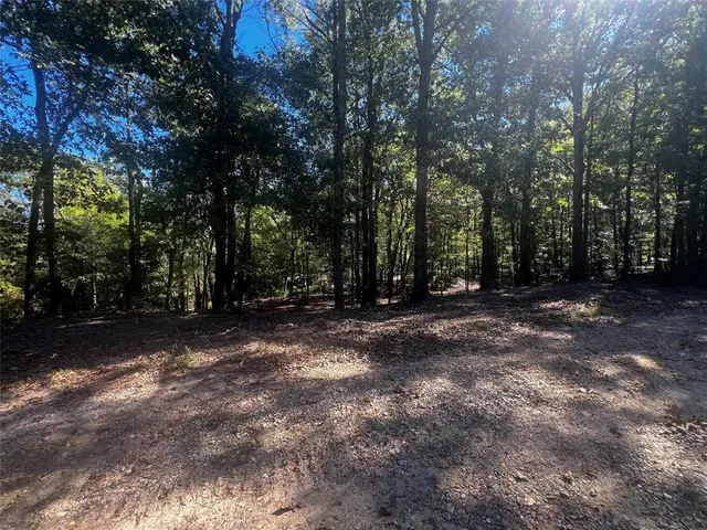 Photo 6 — 310 White Fox Lane, Broken Bow, OK 74728