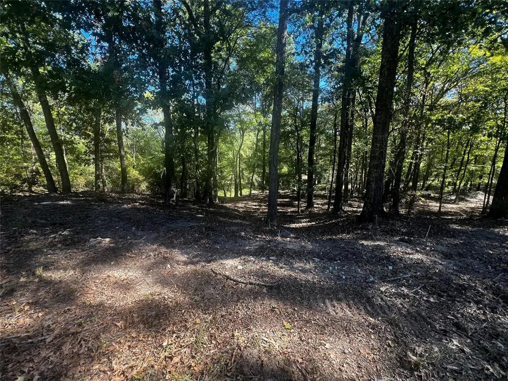 Photo 7 — 310 White Fox Lane, Broken Bow, OK 74728