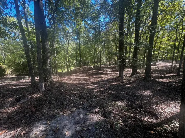 Photo 8 — 310 White Fox Lane, Broken Bow, OK 74728