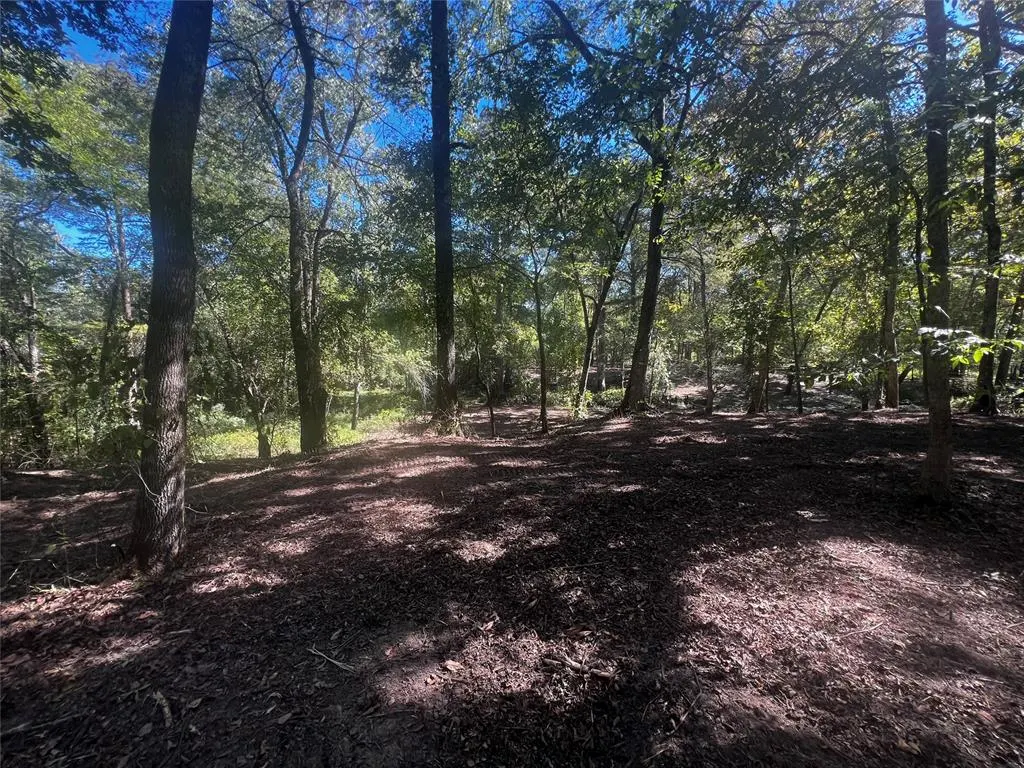 Photo 9 — 310 White Fox Lane, Broken Bow, OK 74728
