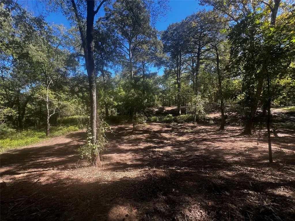 Photo 10 — 310 White Fox Lane, Broken Bow, OK 74728