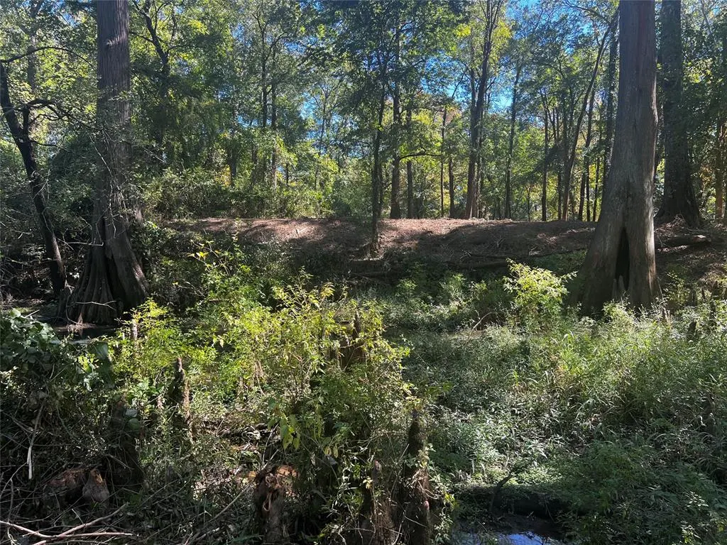 Photo 11 — 310 White Fox Lane, Broken Bow, OK 74728