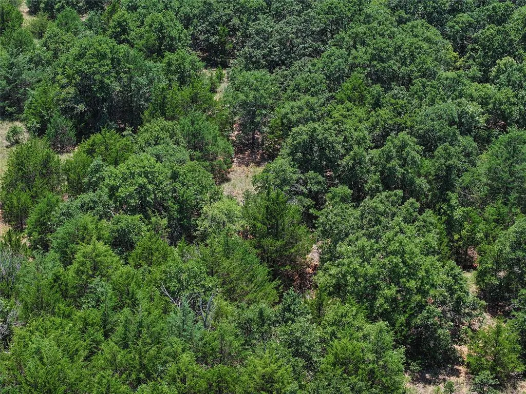 Photo 5 — 20250 Bryant Road, Lexington, OK 73051