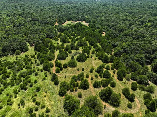 Photo 6 — 20250 Bryant Road, Lexington, OK 73051