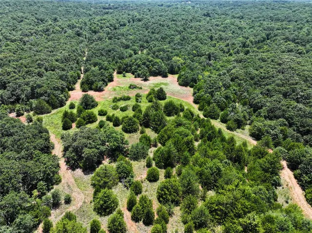 Photo 7 — 20250 Bryant Road, Lexington, OK 73051