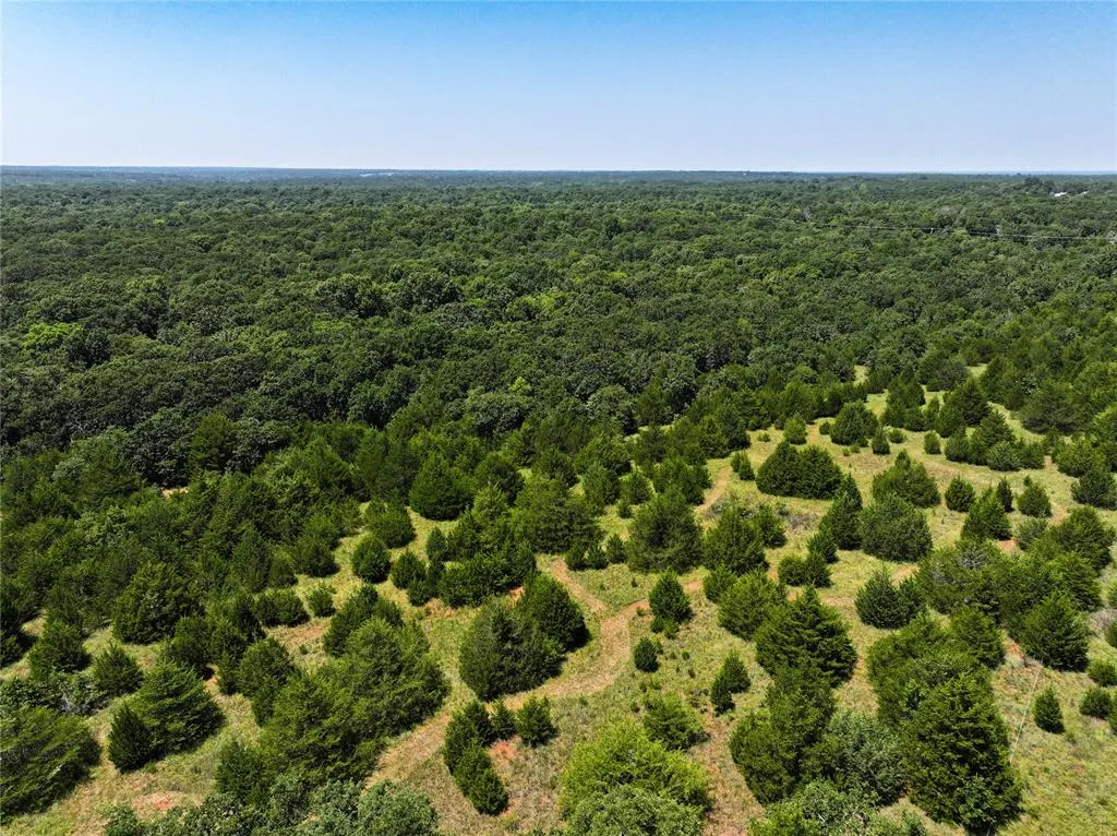 Photo 10 — 20250 Bryant Road, Lexington, OK 73051