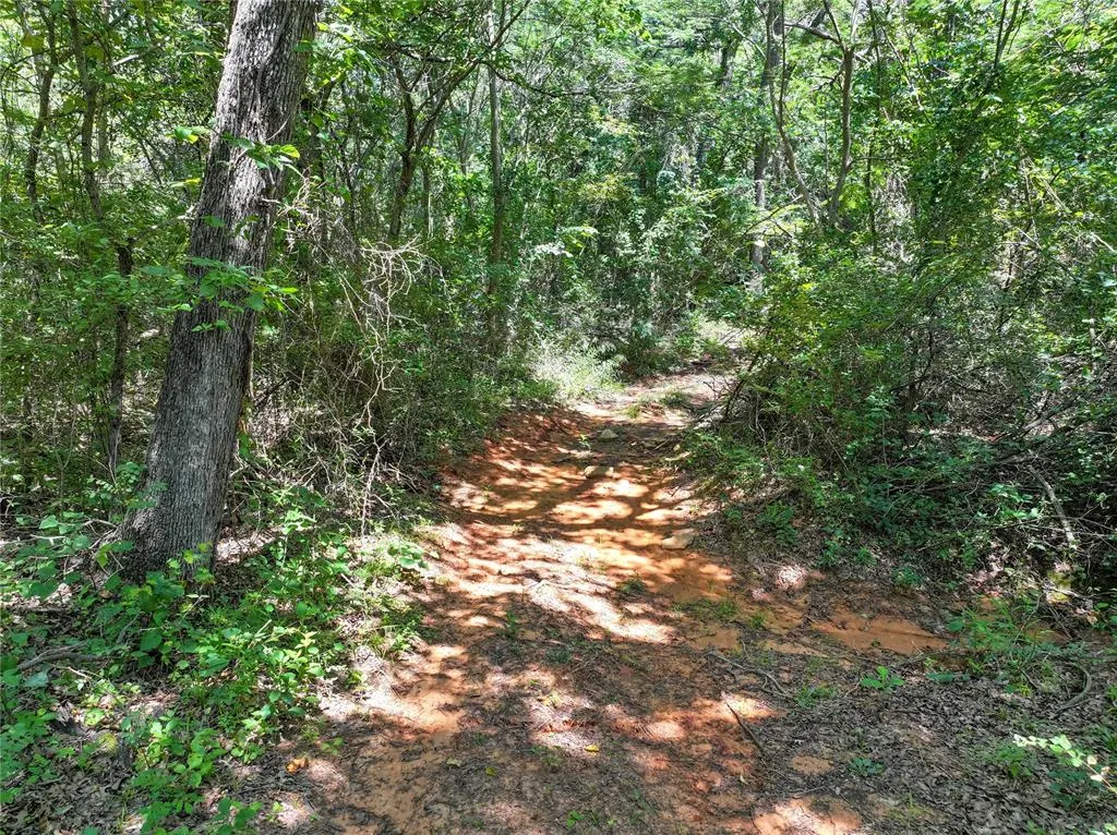 Photo 21 — 20250 Bryant Road, Lexington, OK 73051