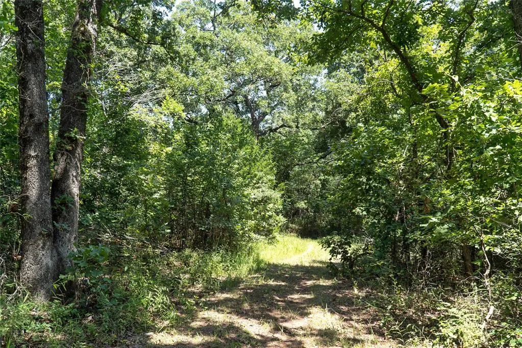 Photo 37 — 20250 Bryant Road, Lexington, OK 73051