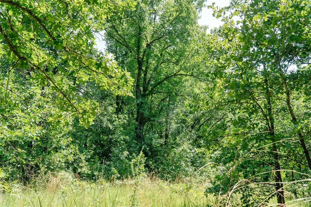 Photo 40 — 20250 Bryant Road, Lexington, OK 73051