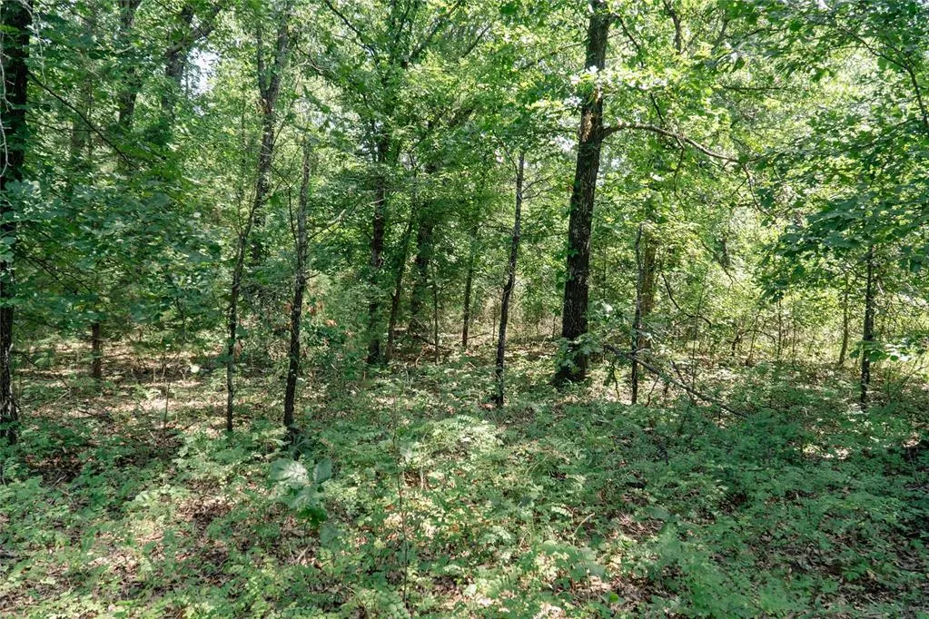 Photo 41 — 20250 Bryant Road, Lexington, OK 73051