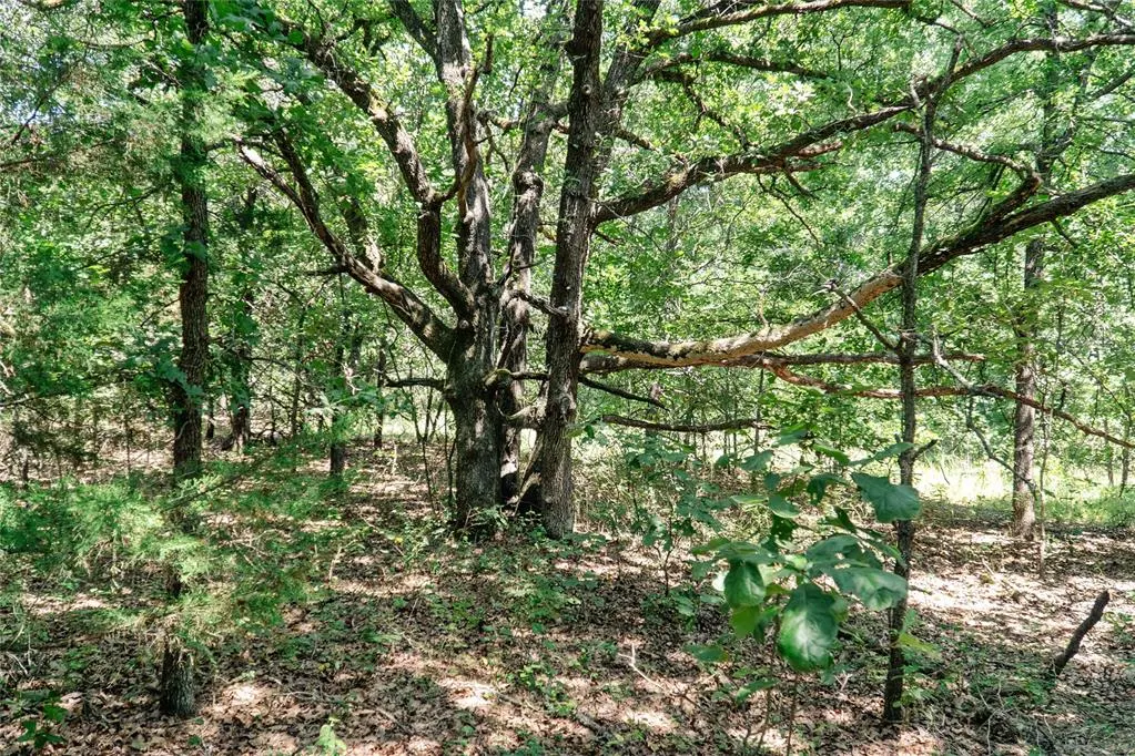 Photo 42 — 20250 Bryant Road, Lexington, OK 73051