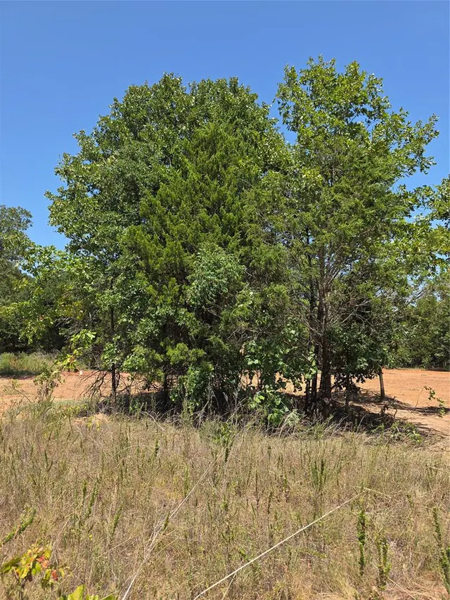 Photo 6 — 336584 E Aspen Trail, Wellston, OK 74881
