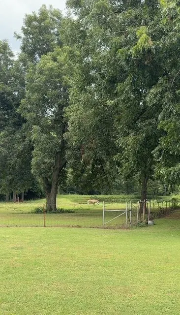 Photo 18 — 17500 NE 23rd Street, Choctaw, OK 73020