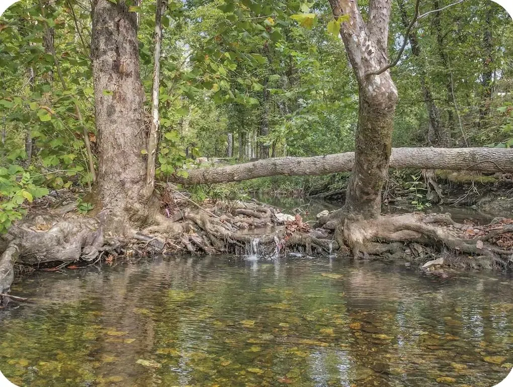 Photo 38 — 242 TWISTED VINE Court, Broken Bow, OK 74728