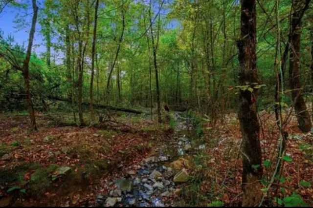 Photo 4 — 344 VIRGINIA PINE Place, Broken Bow, OK 74728
