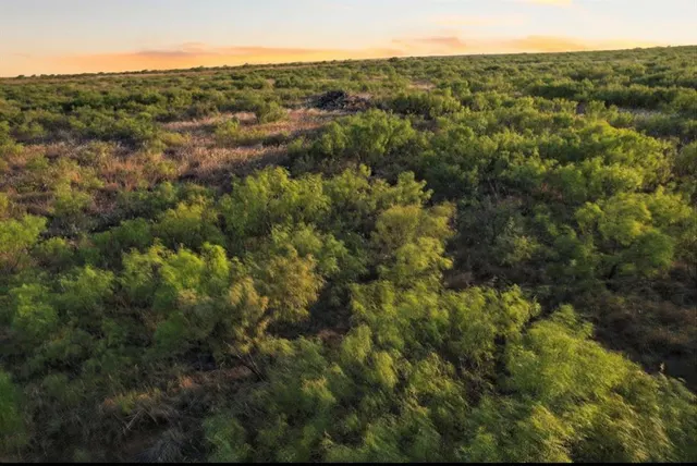 Photo 3 — N1840 RD & 1630 RD, Gould, OK 73532