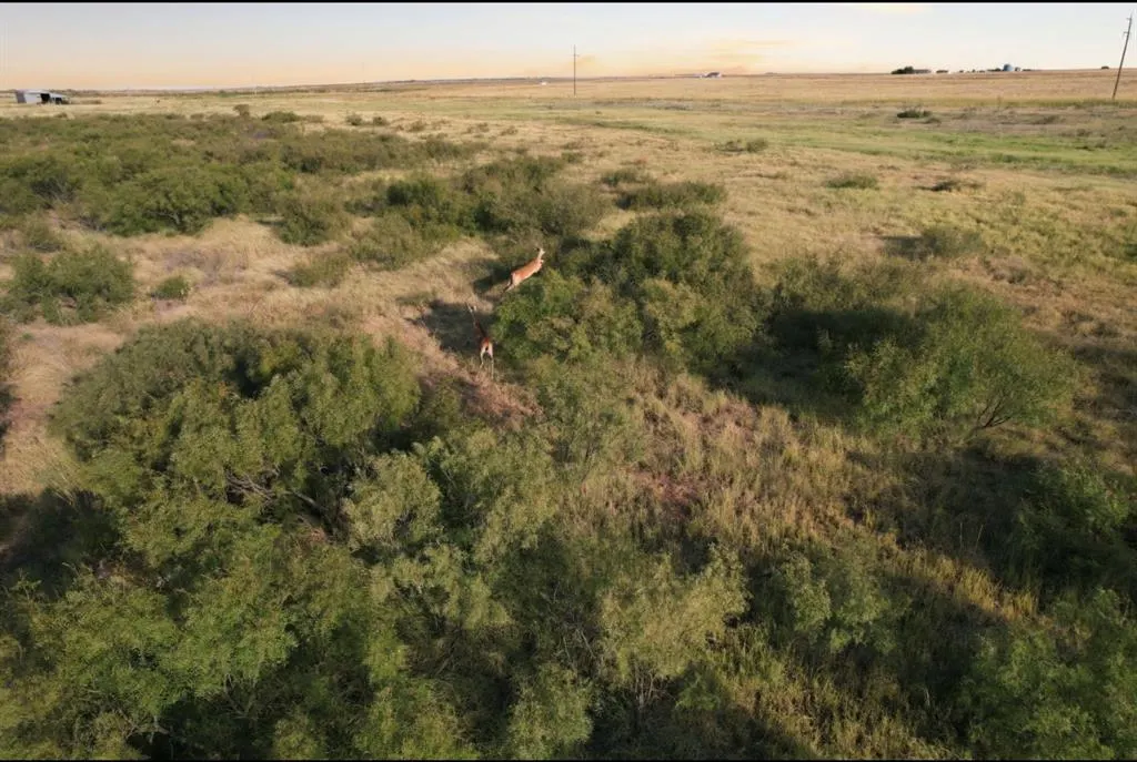 Photo 30 — N1840 RD & 1630 RD, Gould, OK 73532