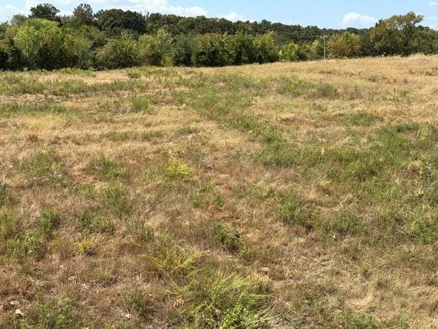 Photo 8 — Highway 72, Cameron, OK 74932