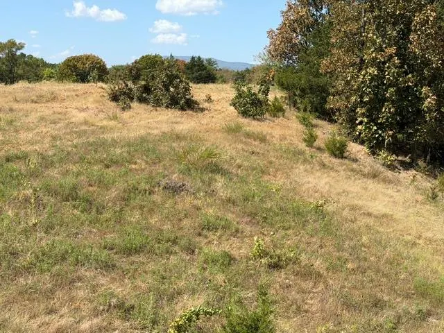 Photo 9 — Highway 72, Cameron, OK 74932
