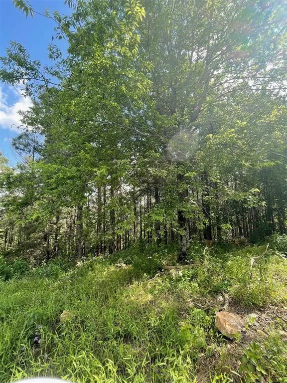Photo 3 — 39 Alder Place, Broken Bow, OK 74728