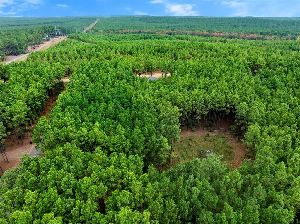 Photo 5 — 70 Bear Elm Trail, Broken Bow, OK 74728