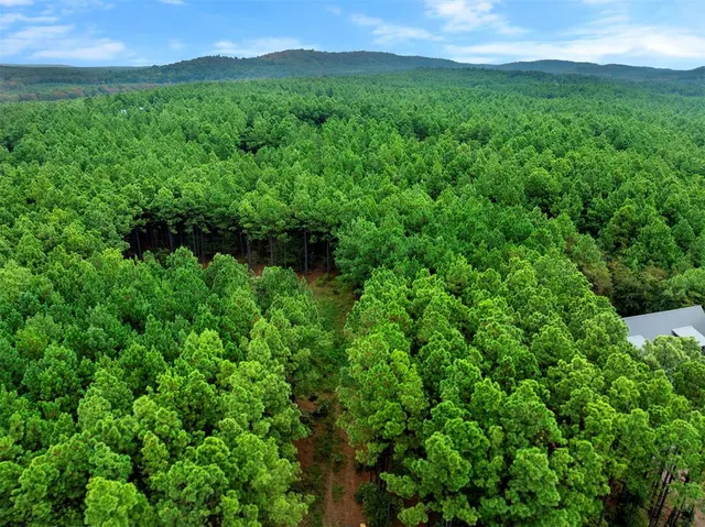 Photo 6 — 70 Bear Elm Trail, Broken Bow, OK 74728