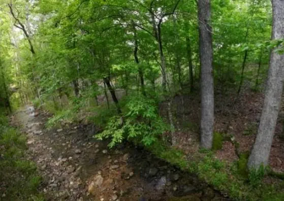 Photo 2 — 118 Hidden Pines Loop, Broken Bow, OK 74728