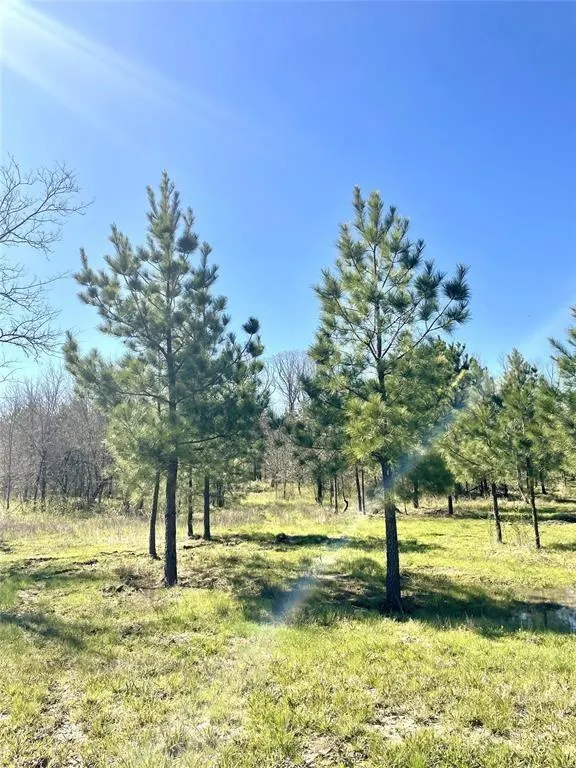 Photo 3 — 118 Hidden Pines Loop, Broken Bow, OK 74728