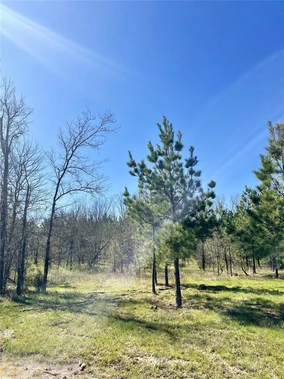 Photo 5 — 118 Hidden Pines Loop, Broken Bow, OK 74728