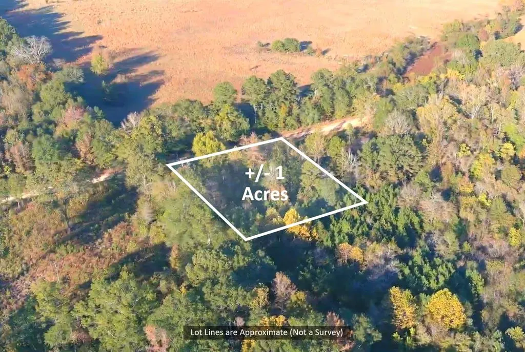 Front exterior — 0 Butler Road, Haworth, OK 74740