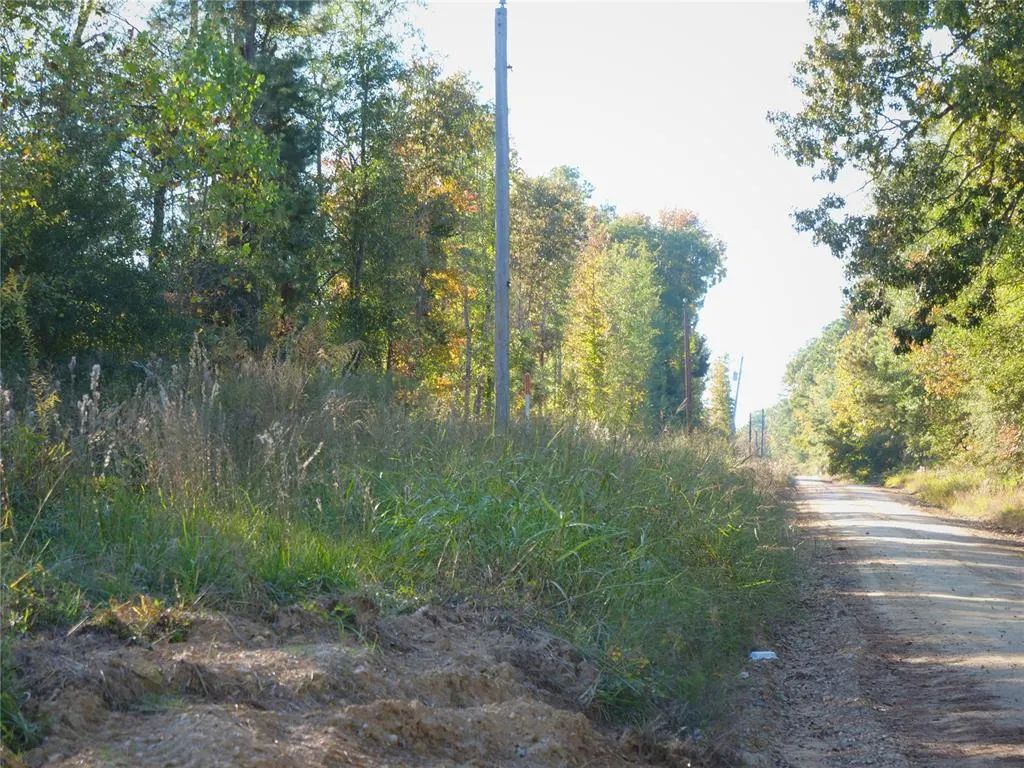 Photo 3 — 0 Butler Road, Haworth, OK 74740