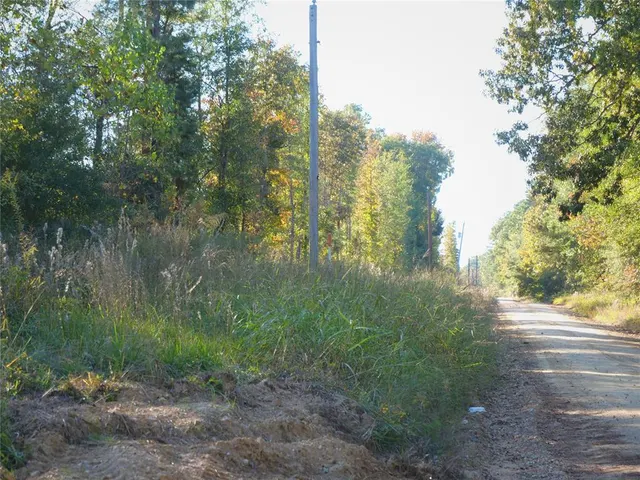 Photo 3 — 0 Butler Road, Haworth, OK 74740