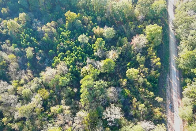 Photo 5 — 0 Butler Road, Haworth, OK 74740