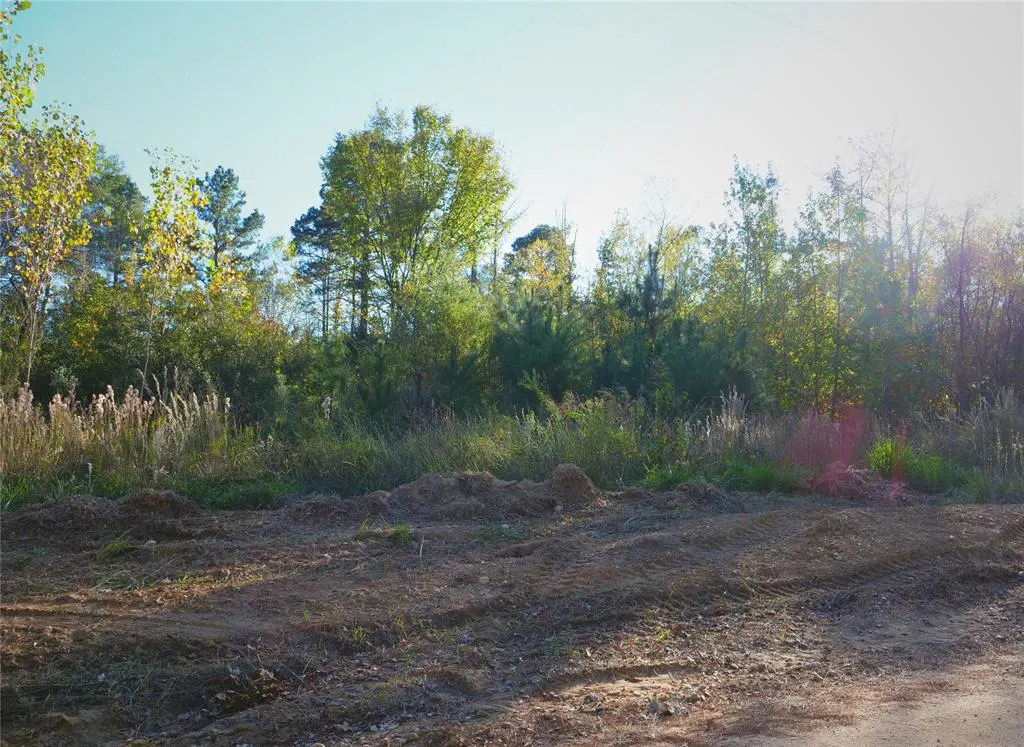 Photo 6 — 0 Butler Road, Haworth, OK 74740